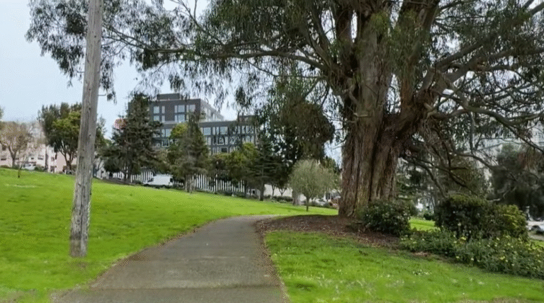 jefferson square shopping center holiday hours